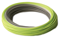 RIO InTouch Outbound Short F/I Coil RIO InTouch Outbound Short F/I Coil